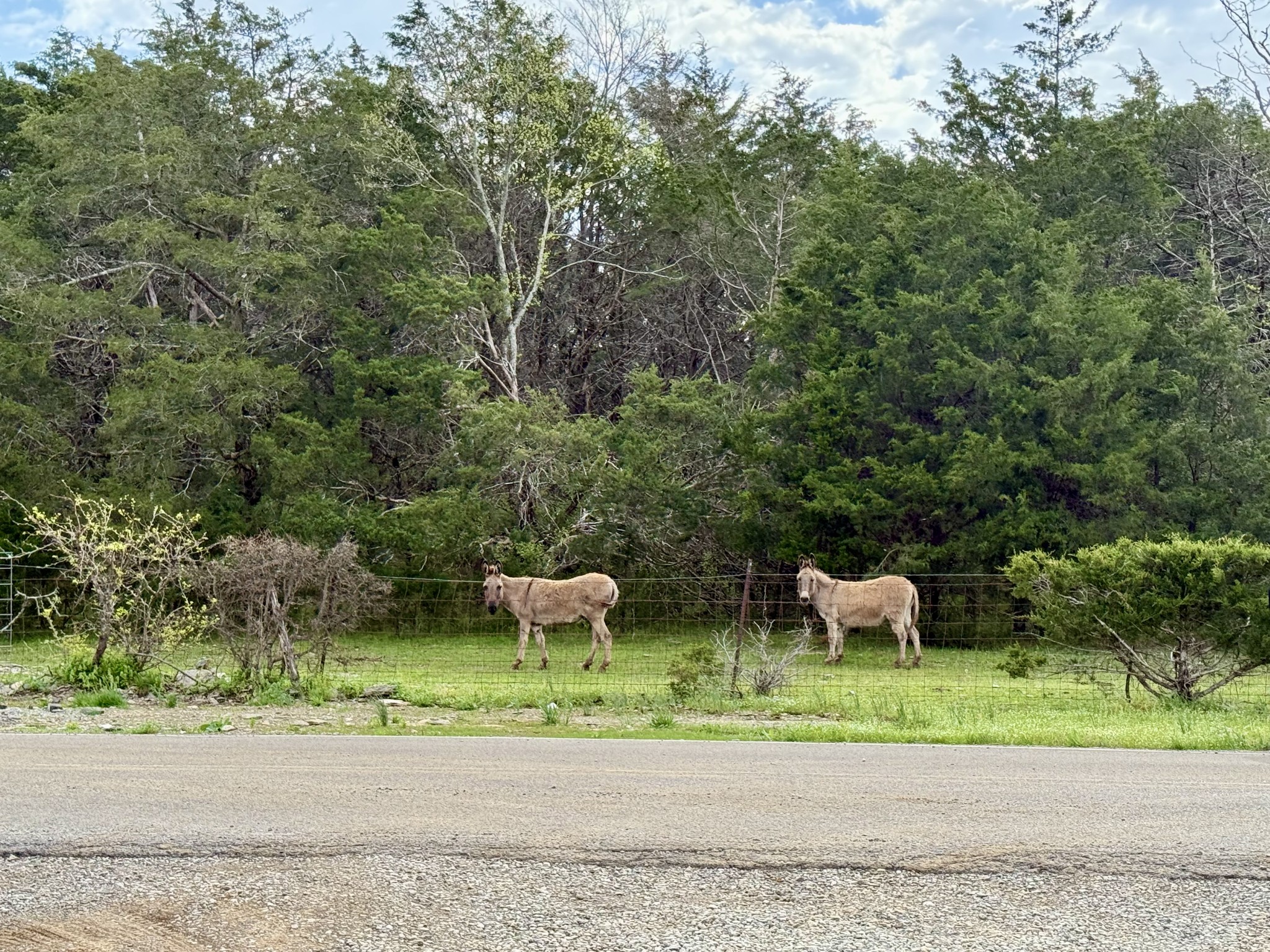 2471 Taylor Lane Eagleville, TN 37060 - Photo 7 of 8