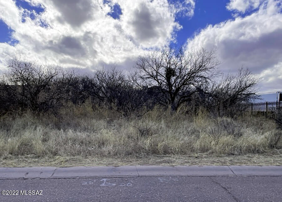 1144 Circulo Mercado, Unit 16 Rio Rico, AZ 85648 - Photo 1 of 2 a view of a dry yard with trees