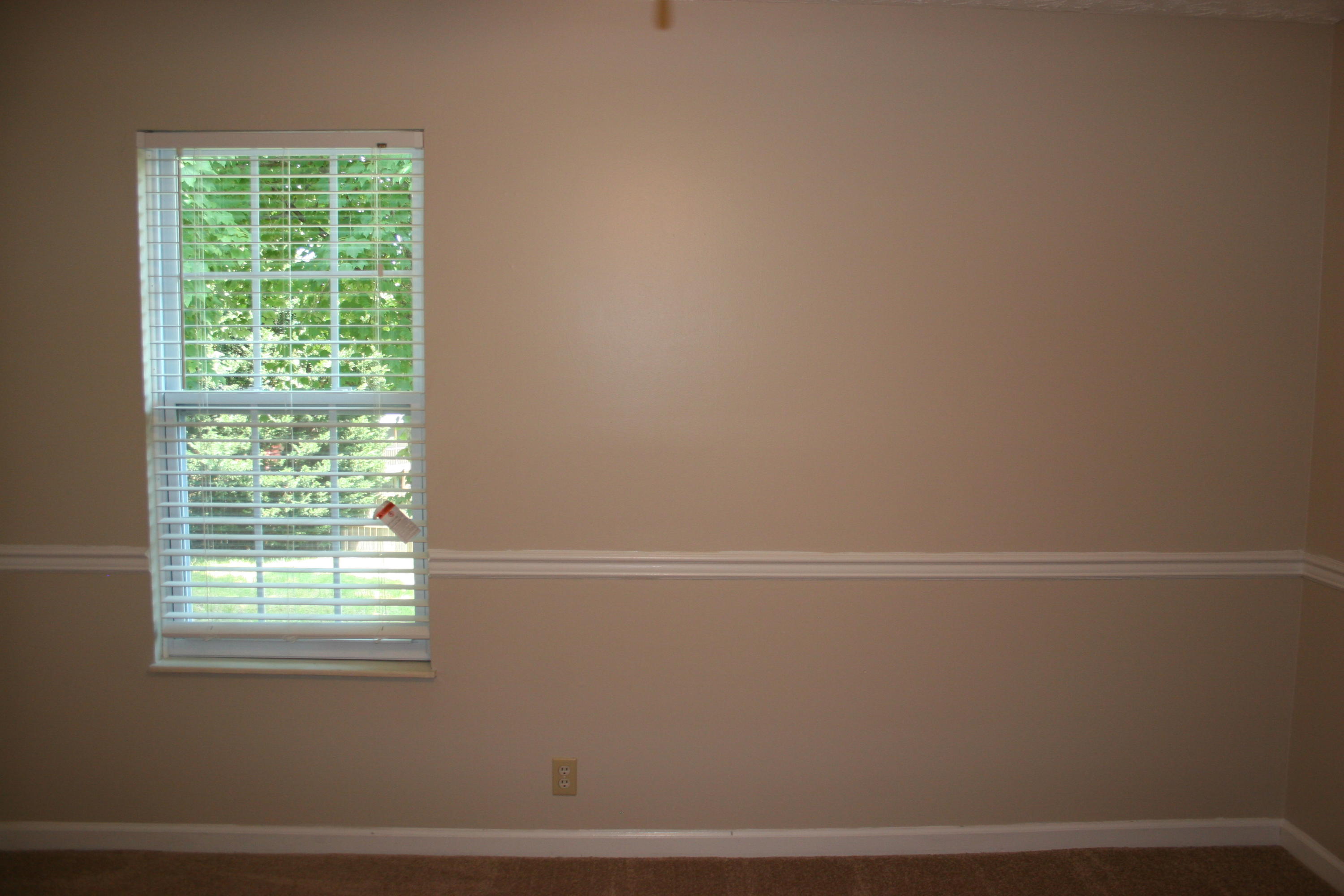816 Tree Trunk Road Knoxville, TN 37934 - Photo 23 of 30 IMG_4310