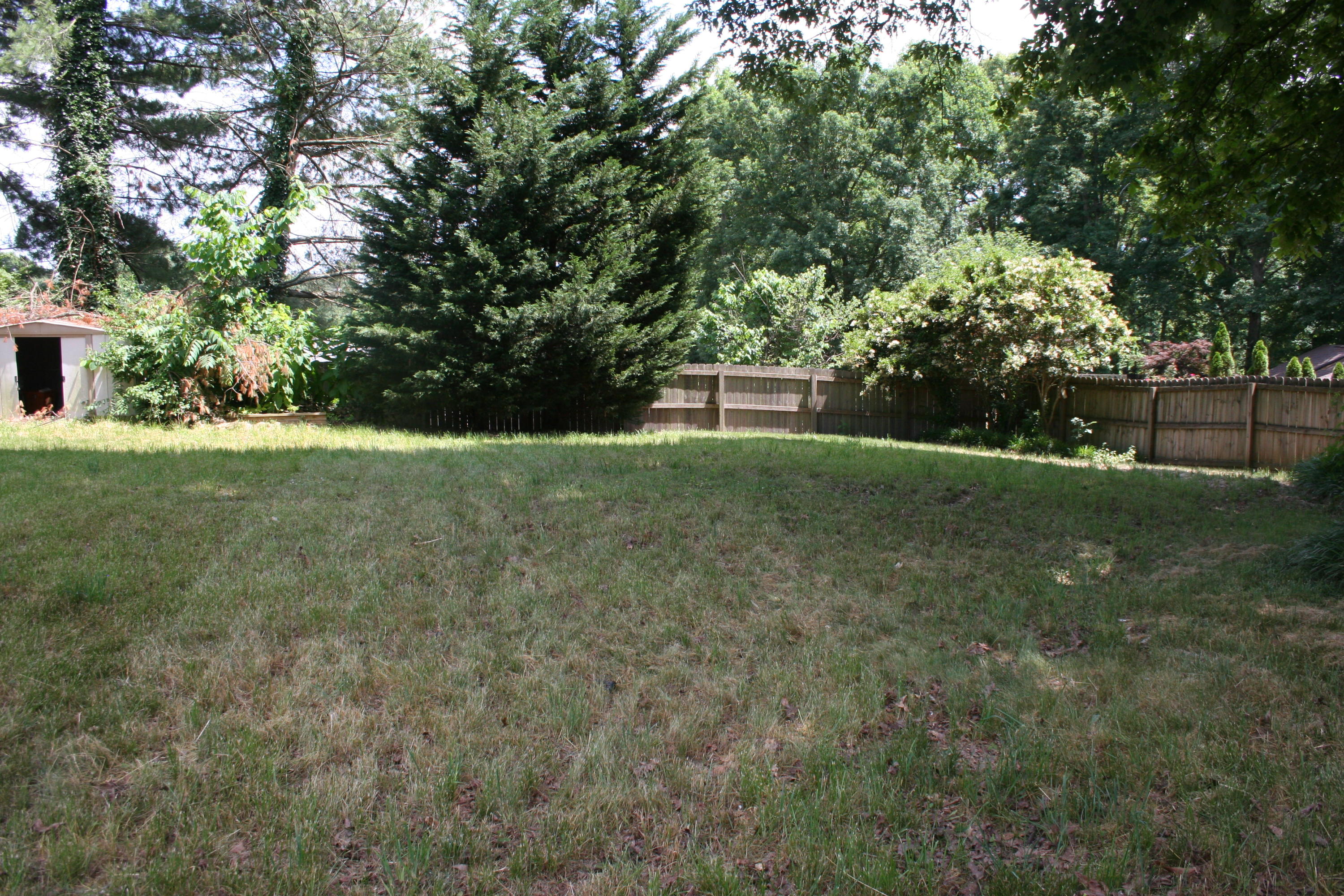 816 Tree Trunk Road Knoxville, TN 37934 - Photo 4 of 30 IMG_4278