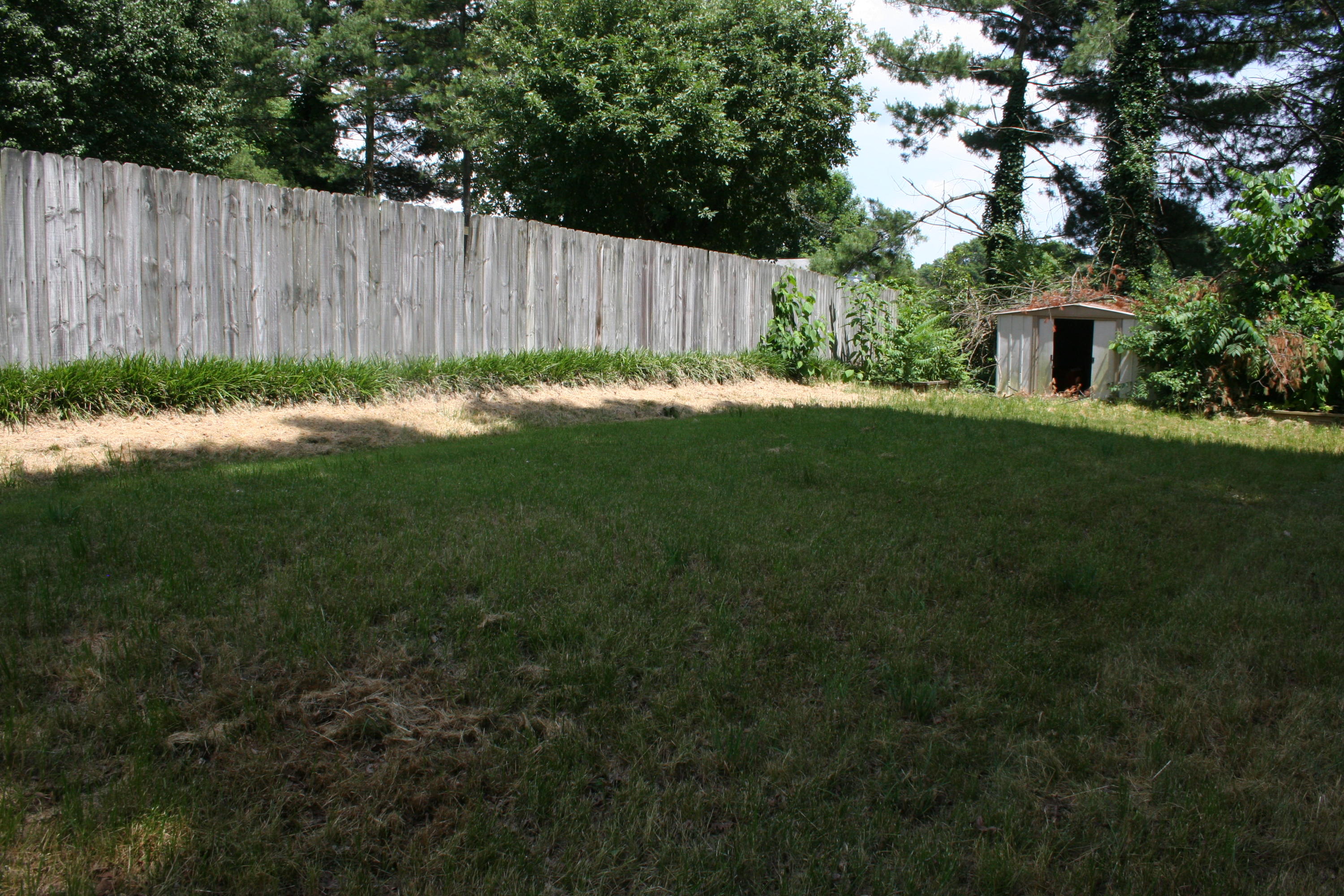 816 Tree Trunk Road Knoxville, TN 37934 - Photo 5 of 30 IMG_4279