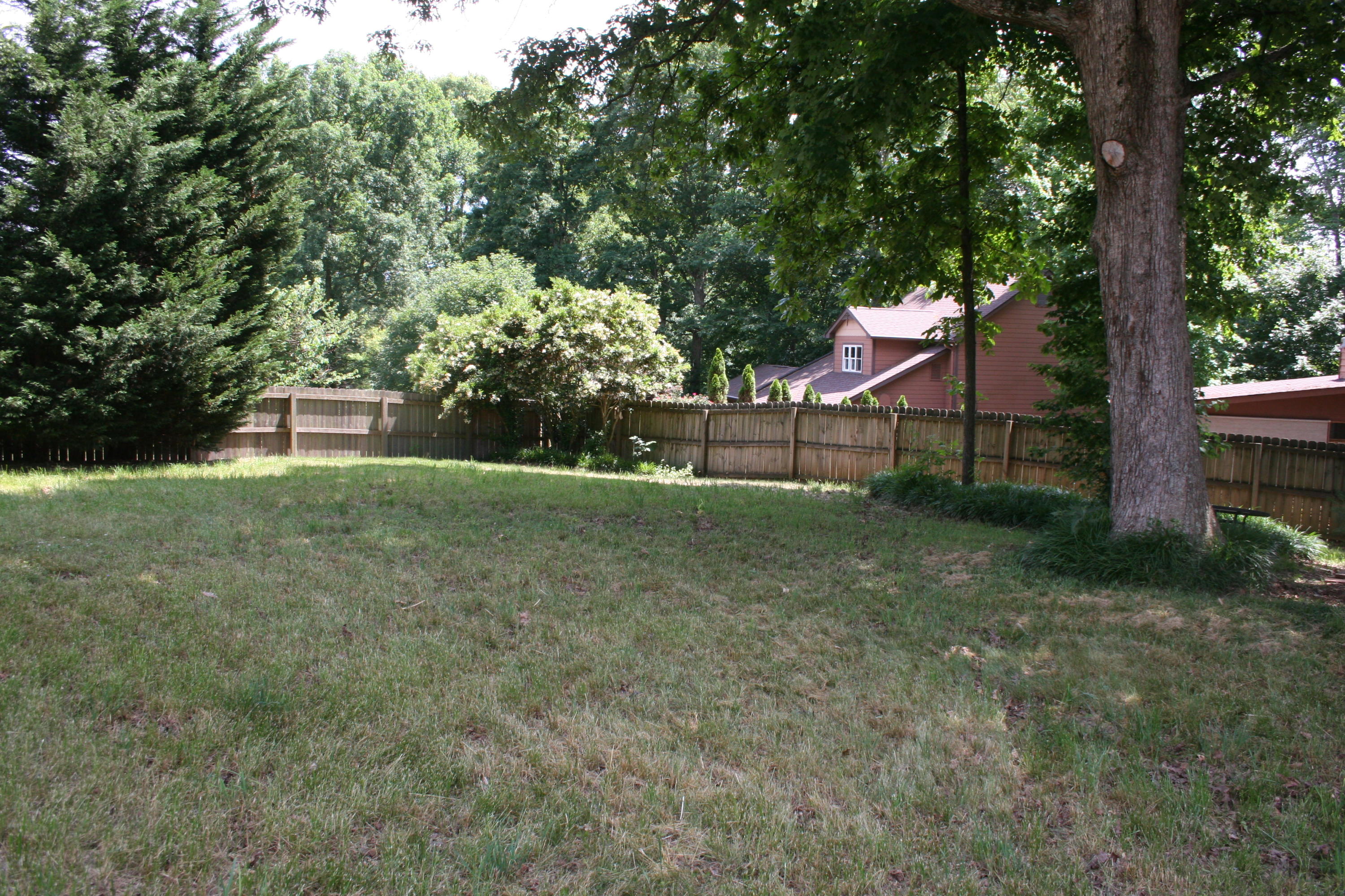 816 Tree Trunk Road Knoxville, TN 37934 - Photo 7 of 30 IMG_4284