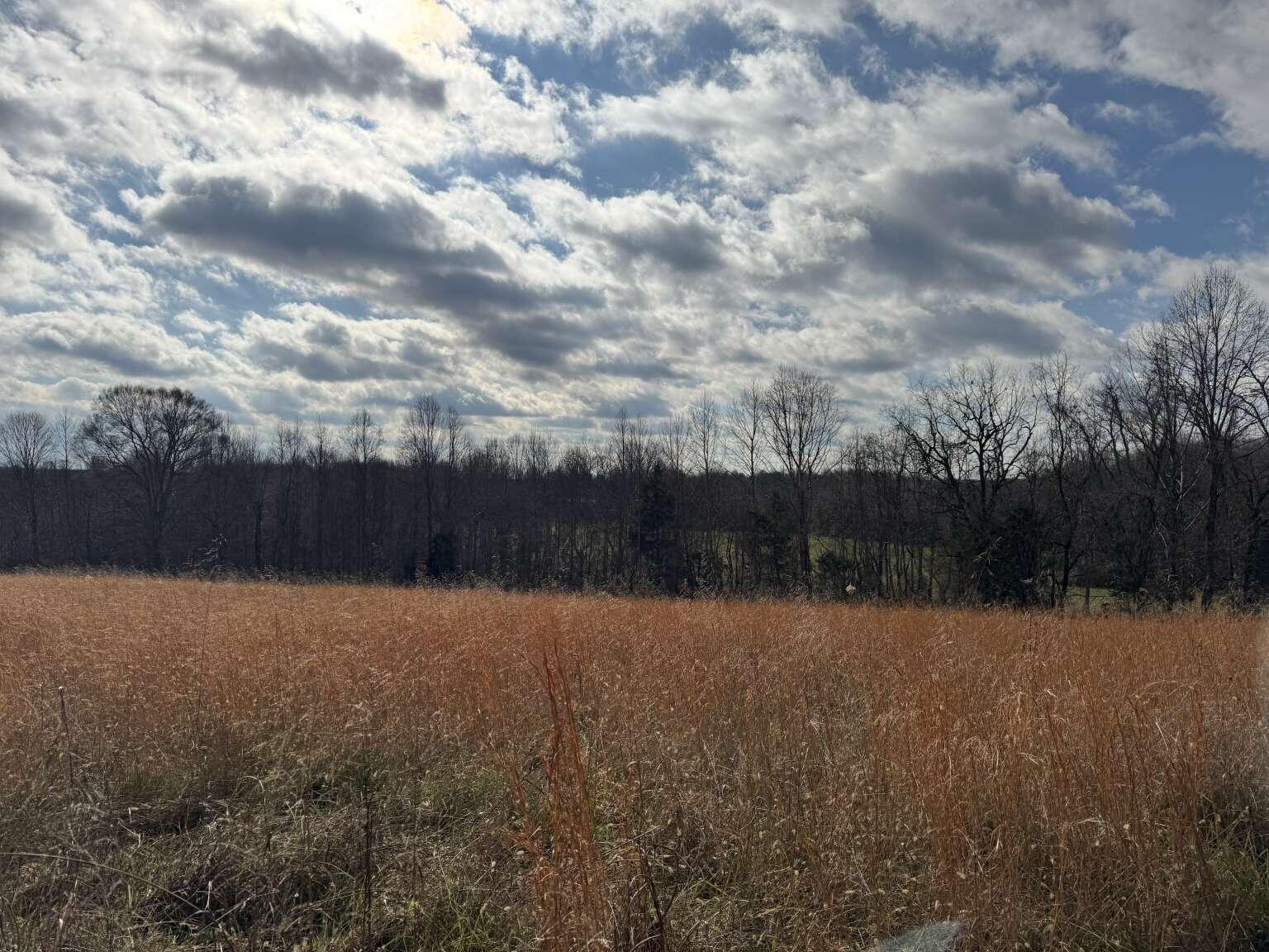 1111 Clear Branch Road Liberty, KY 42539 - Photo 18 of 33 Purvis.18