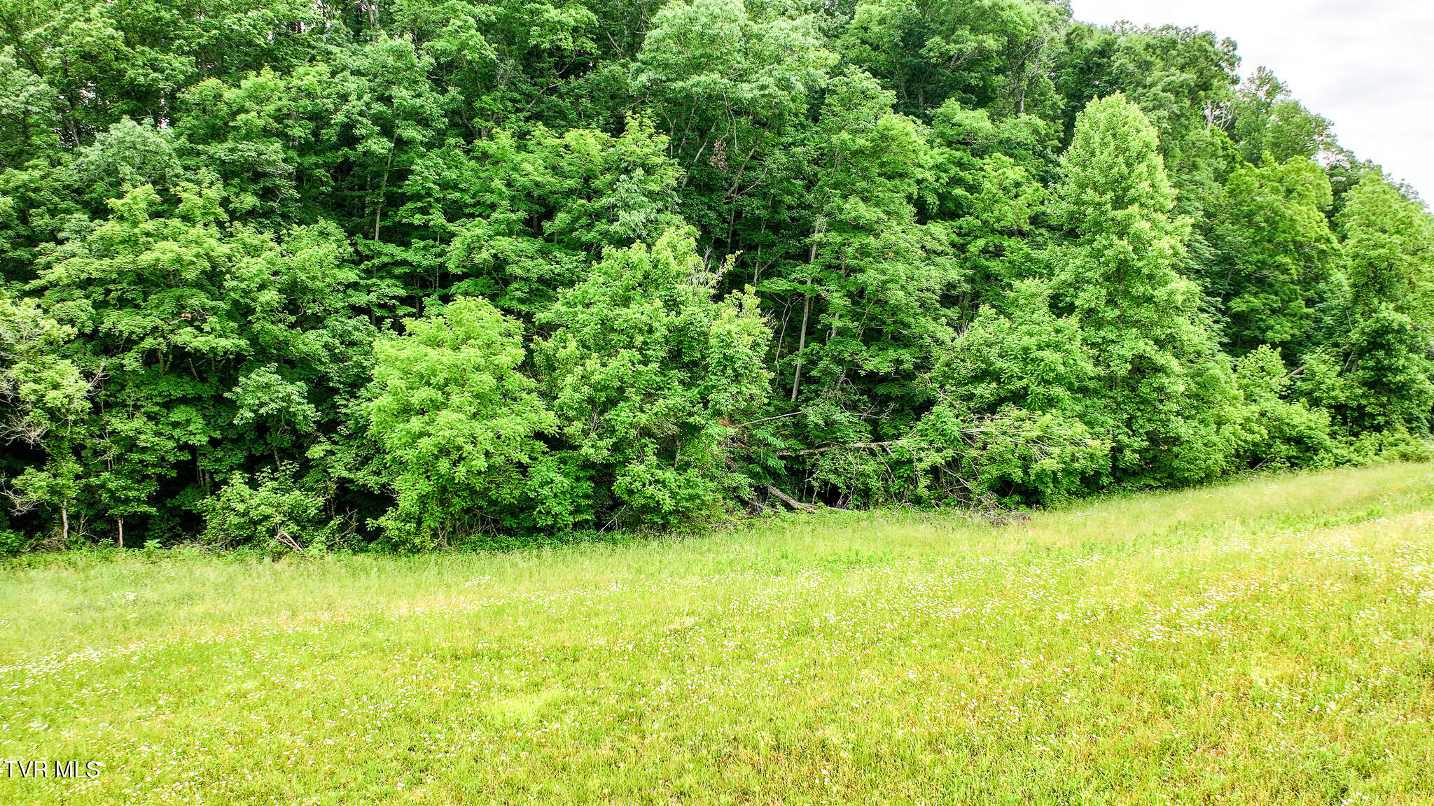 103 Vinson Hollow Road Newport, TN 37821 - Photo 17 of 41 DJI_20260521044044_0100_D