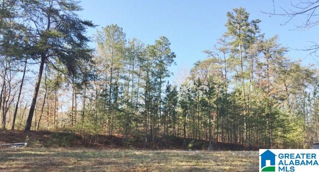 2175 Salt Creek Road, Unit ACREAGE Munford, AL 36268 - Photo 9 of 10 Gallery Image 9