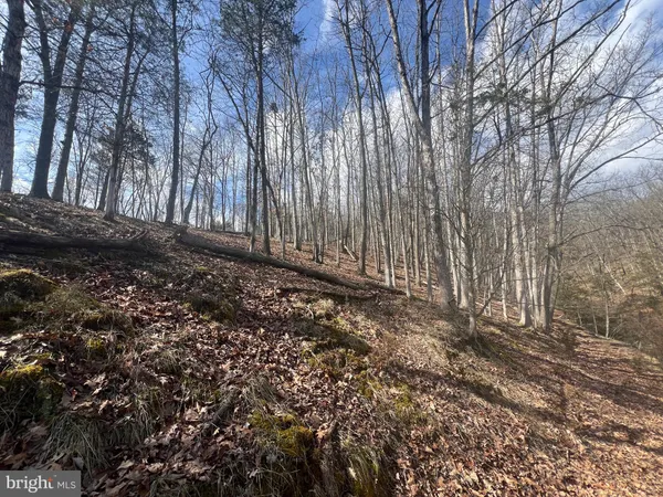 $795,000 | 130 Patterson Creek Highway, Burlington, WV 26710