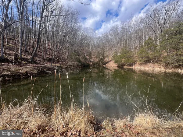 $795,000 | 130 Patterson Creek Highway, Burlington, WV 26710