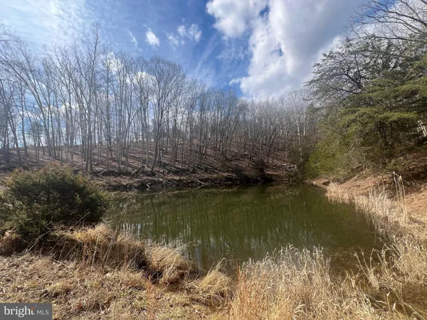 a outdoor space with lots of trees