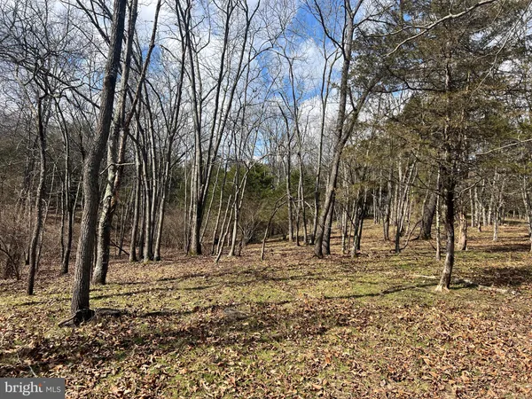 $795,000 | 130 Patterson Creek Highway, Burlington, WV 26710