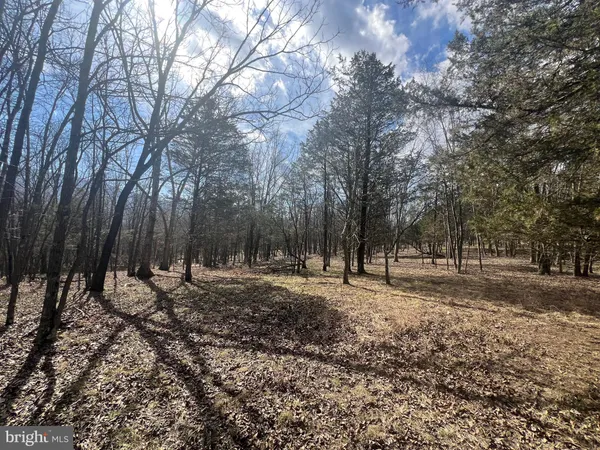 $795,000 | 130 Patterson Creek Highway, Burlington, WV 26710