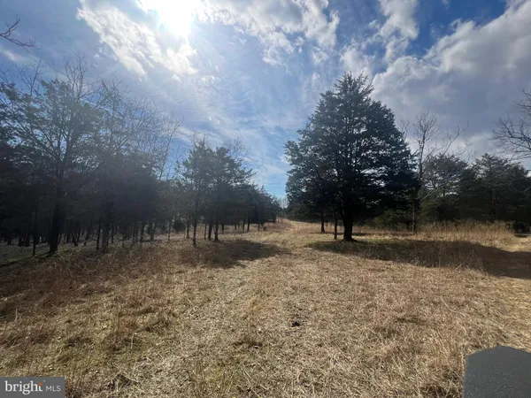 $795,000 | 130 Patterson Creek Highway, Burlington, WV 26710