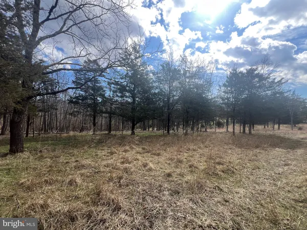 $795,000 | 130 Patterson Creek Highway, Burlington, WV 26710