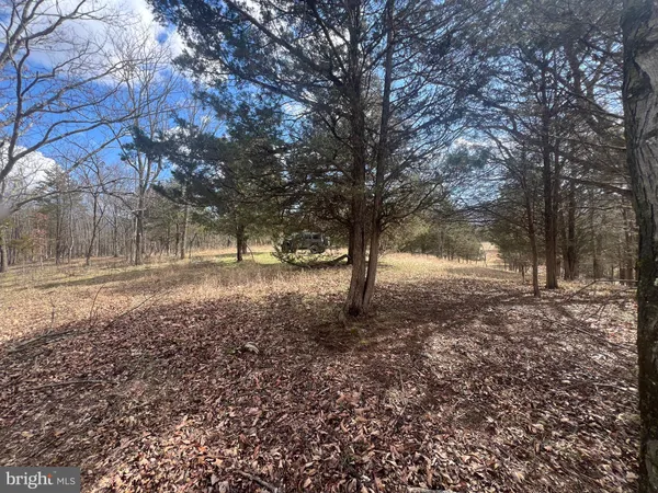 $795,000 | 130 Patterson Creek Highway, Burlington, WV 26710