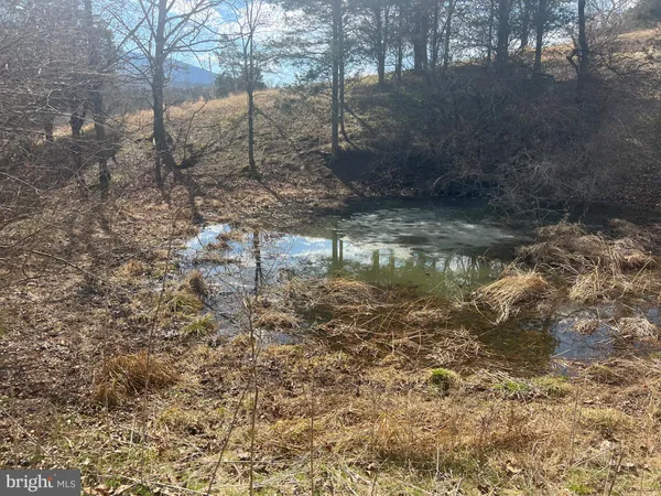 $795,000 | 130 Patterson Creek Highway, Burlington, WV 26710