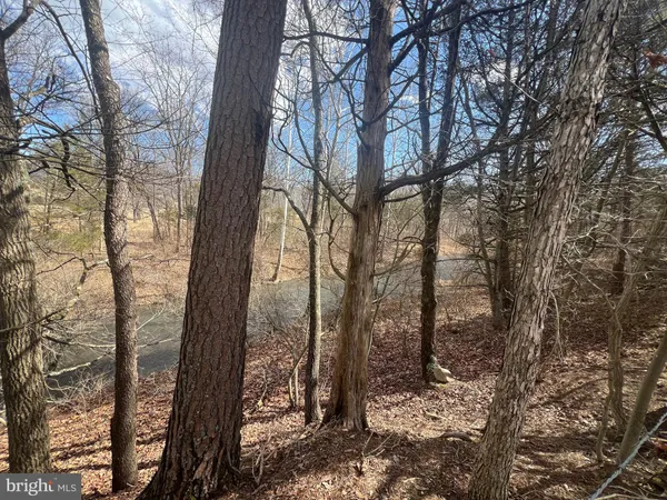 $795,000 | 130 Patterson Creek Highway, Burlington, WV 26710