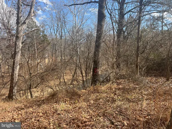 $795,000 | 130 Patterson Creek Highway, Burlington, WV 26710