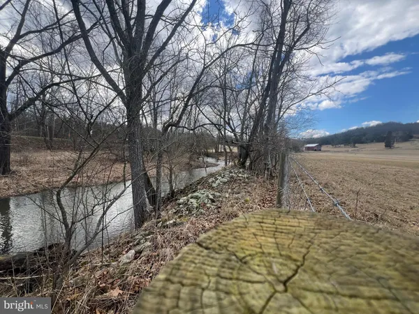 a view of a yard with trees in the background
