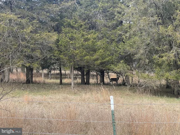 $795,000 | 130 Patterson Creek Highway, Burlington, WV 26710