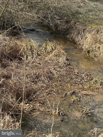 $795,000 | 130 Patterson Creek Highway, Burlington, WV 26710