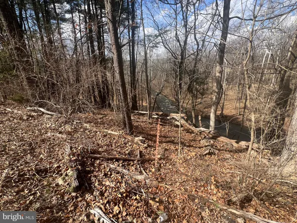 $795,000 | 130 Patterson Creek Highway, Burlington, WV 26710