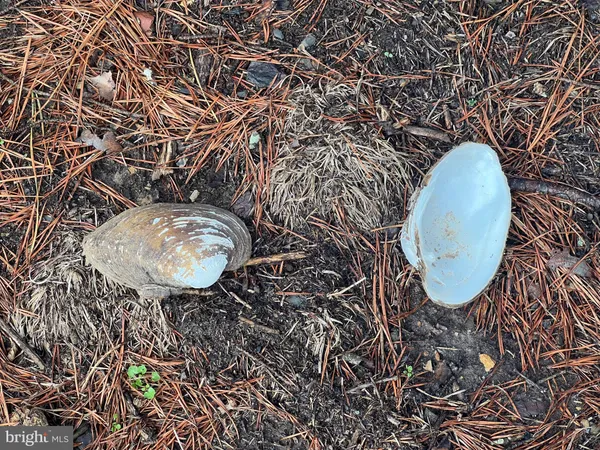 $795,000 | 130 Patterson Creek Highway, Burlington, WV 26710