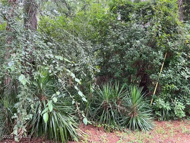 $25,000 | 317 Crestwood Circle, Pinetops, NC 27864