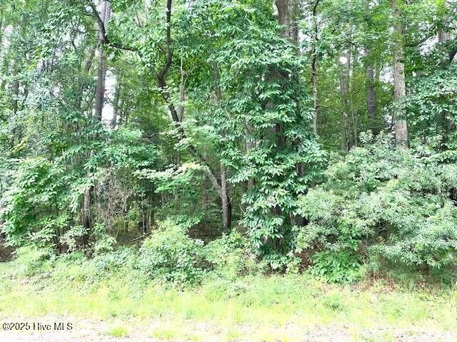 $25,000 | 317 Crestwood Circle, Pinetops, NC 27864