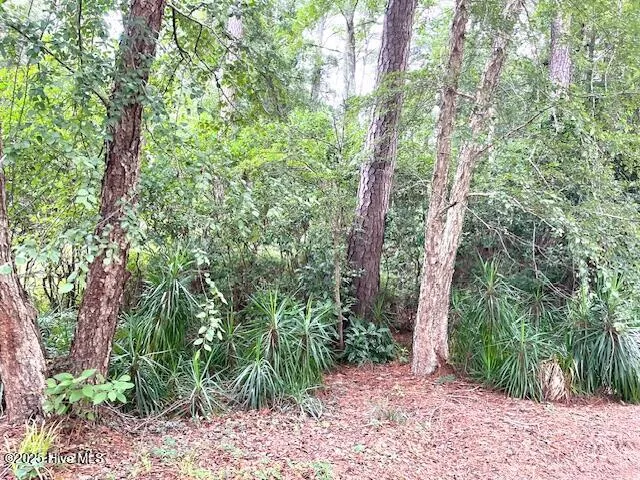 $25,000 | 317 Crestwood Circle, Pinetops, NC 27864