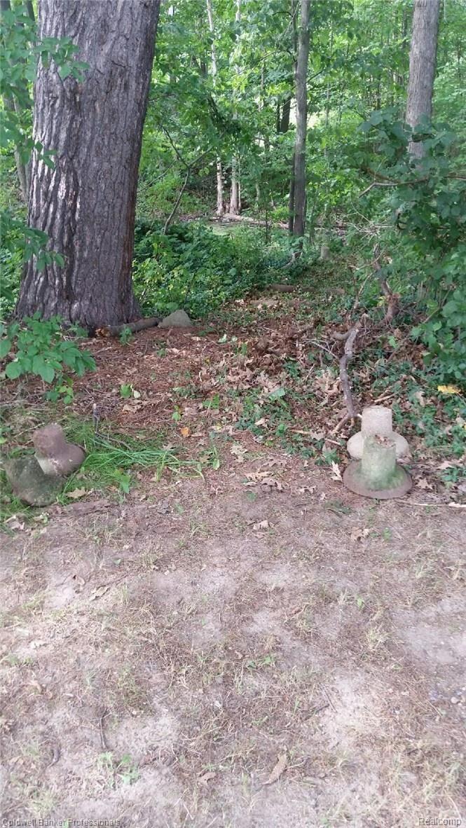 1779 Peppermill Road Lapeer, MI 48446 - Photo 26 of 32 1779 Peppermill pond.jpeg