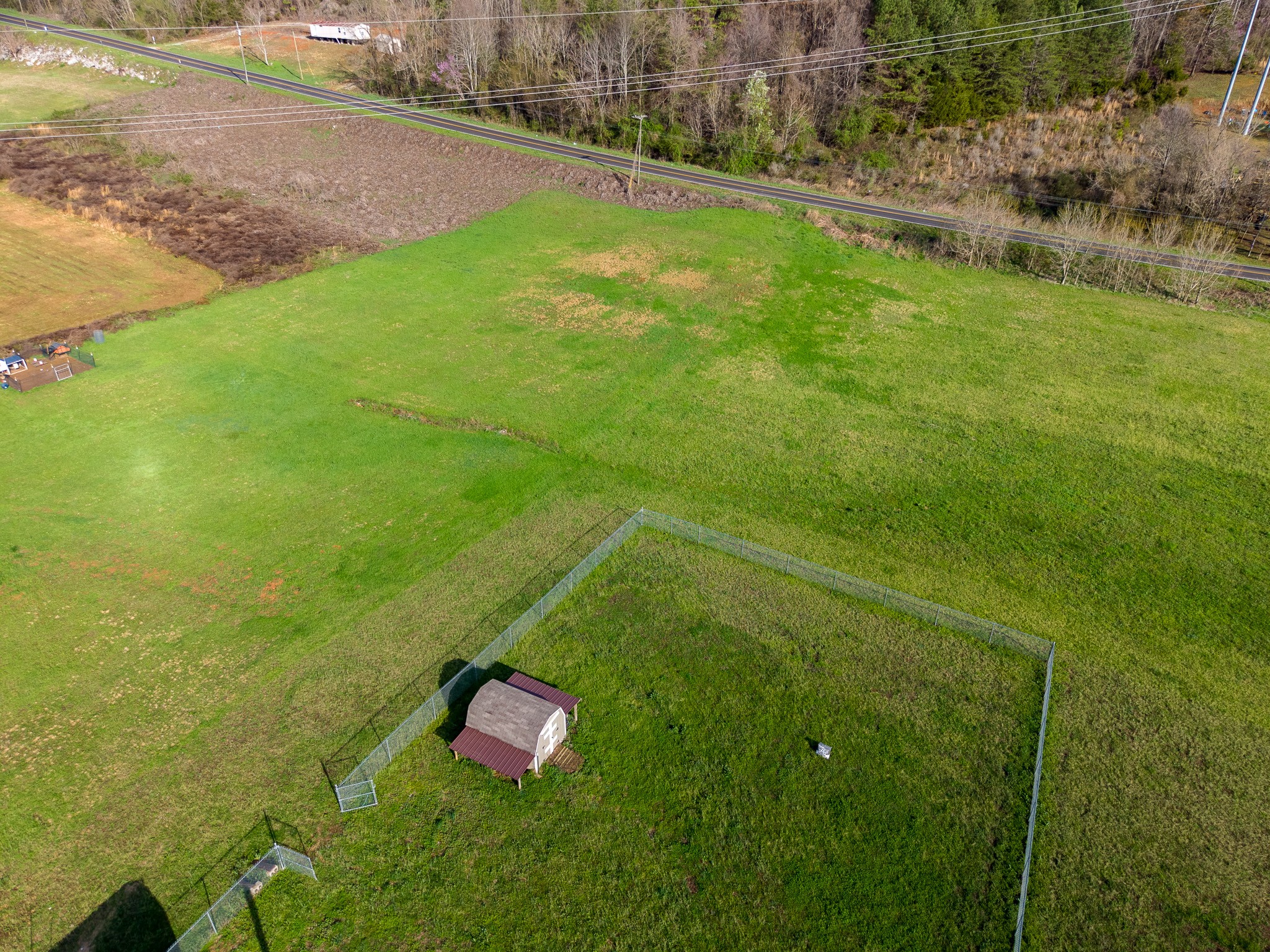 316 Morris Demps Road Sparta, TN 38583 - Photo 51 of 55 a view of a green yard with large trees