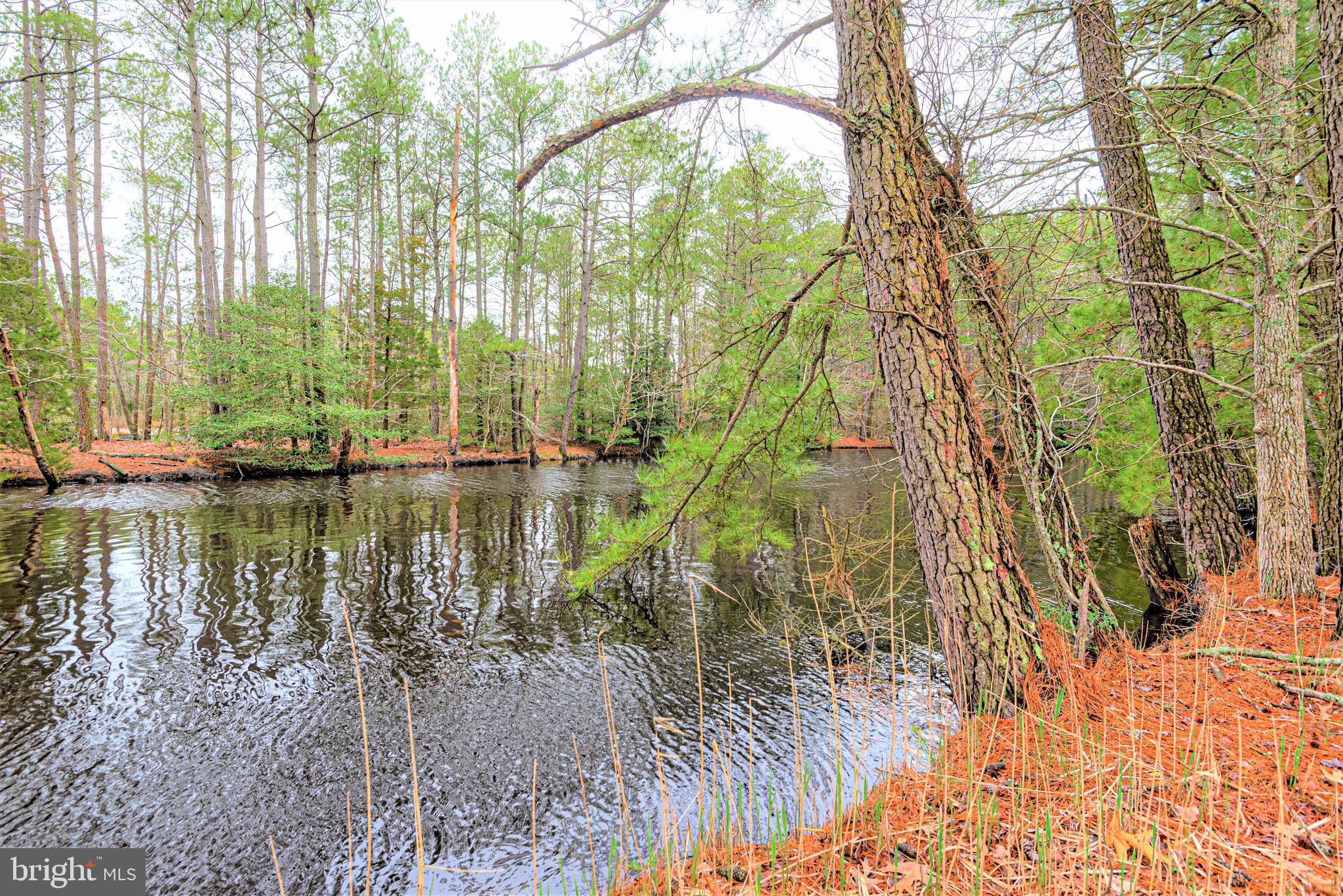 9434 Croppers Island Road Newark, MD 21841 - Photo 5 of 48 a view of lake