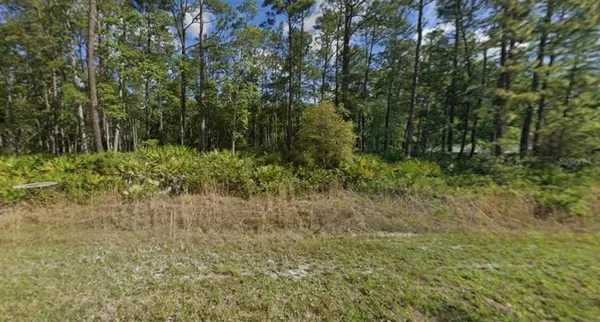 $13,000 | 608 Hickory Nut Trail, Satsuma, FL 32189