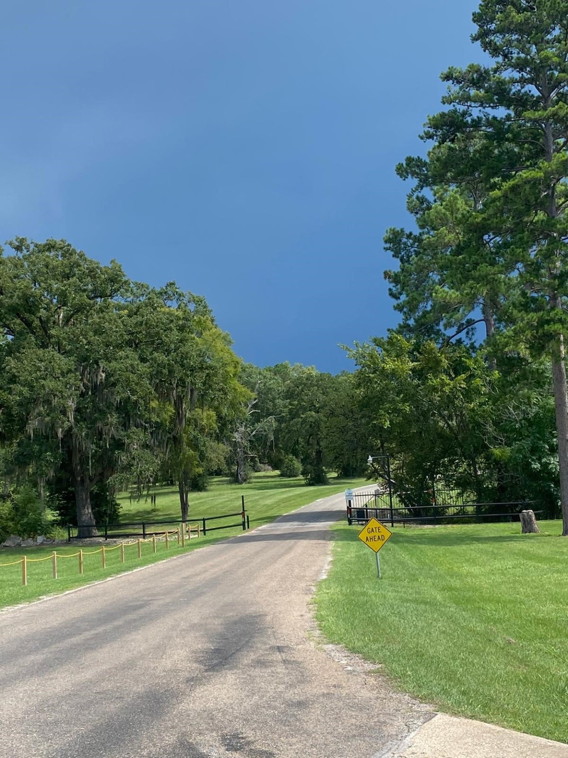 Lot 4 Briarfield Way Trinity, TX 75862 - Photo 11 of 11 a view of a park