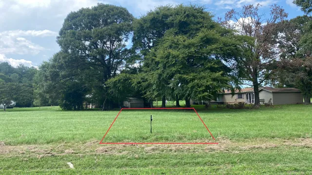 a view of a park with trees in the background