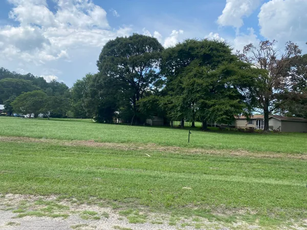a view of a field of grass and trees