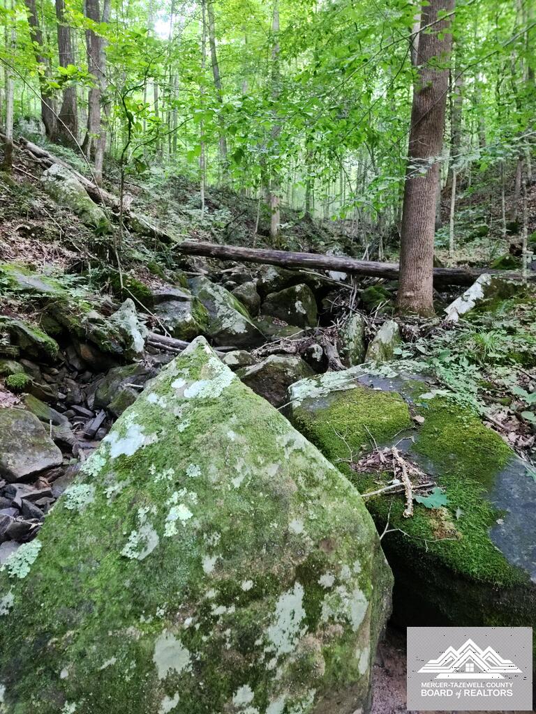 900 Hayes Valley Road Princeton, WV 24739 - Photo 31 of 36 Gallery Image 31