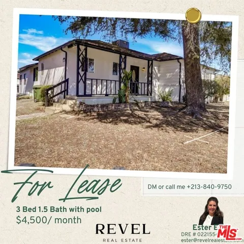 a view of a park that has a large tree