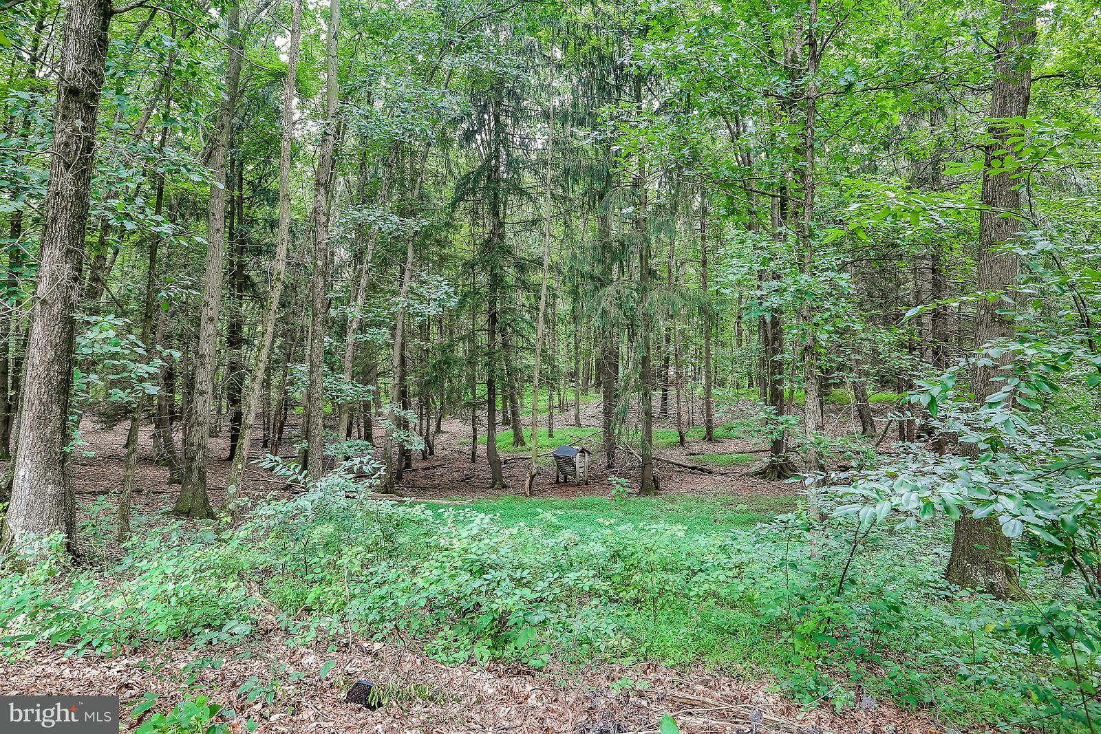 551 Mountain Road Boiling Springs, PA 17007 - Photo 30 of 35 Private Yard