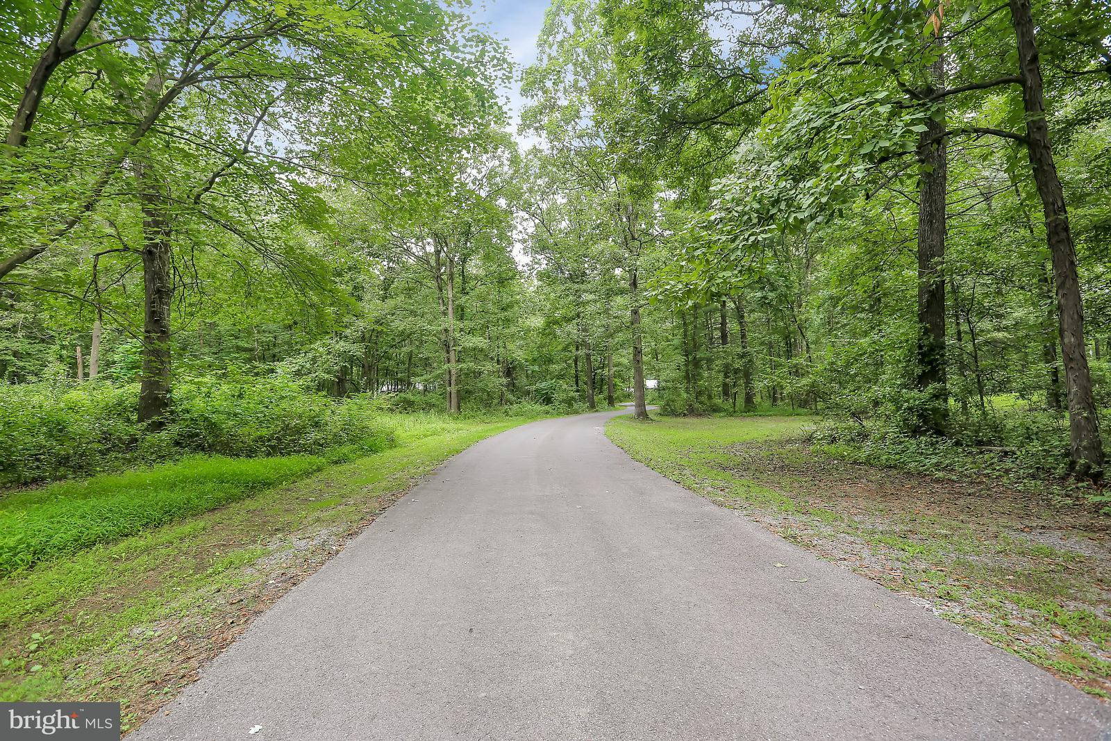 551 Mountain Road Boiling Springs, PA 17007 - Photo 31 of 35 12+ Acres of Privacy