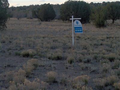 0 Picacho Way Williams, AZ 86046 - Photo 1 of 1 Primary Photo