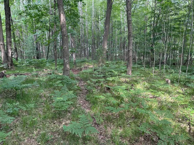 $259,900 | Heise Road, Suring, WI 54174