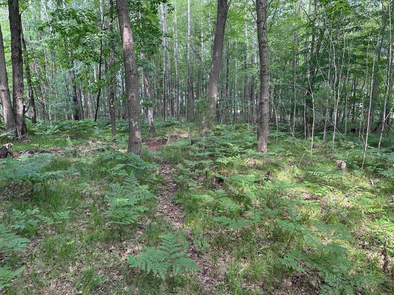 Heise Road Suring, WI 54174 - Photo 12 of 18