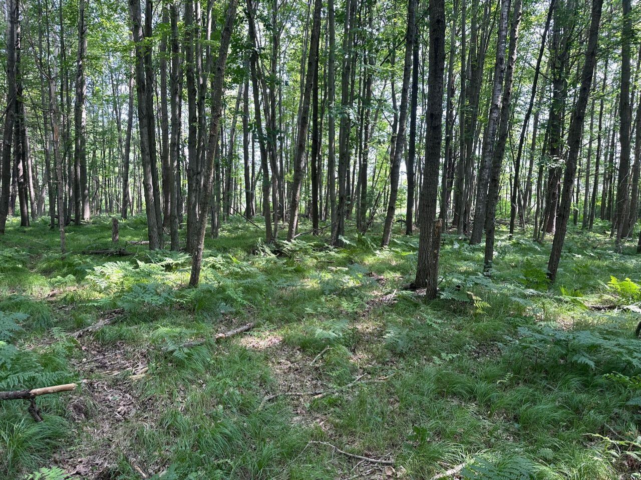 Heise Road Suring, WI 54174 - Photo 15 of 18