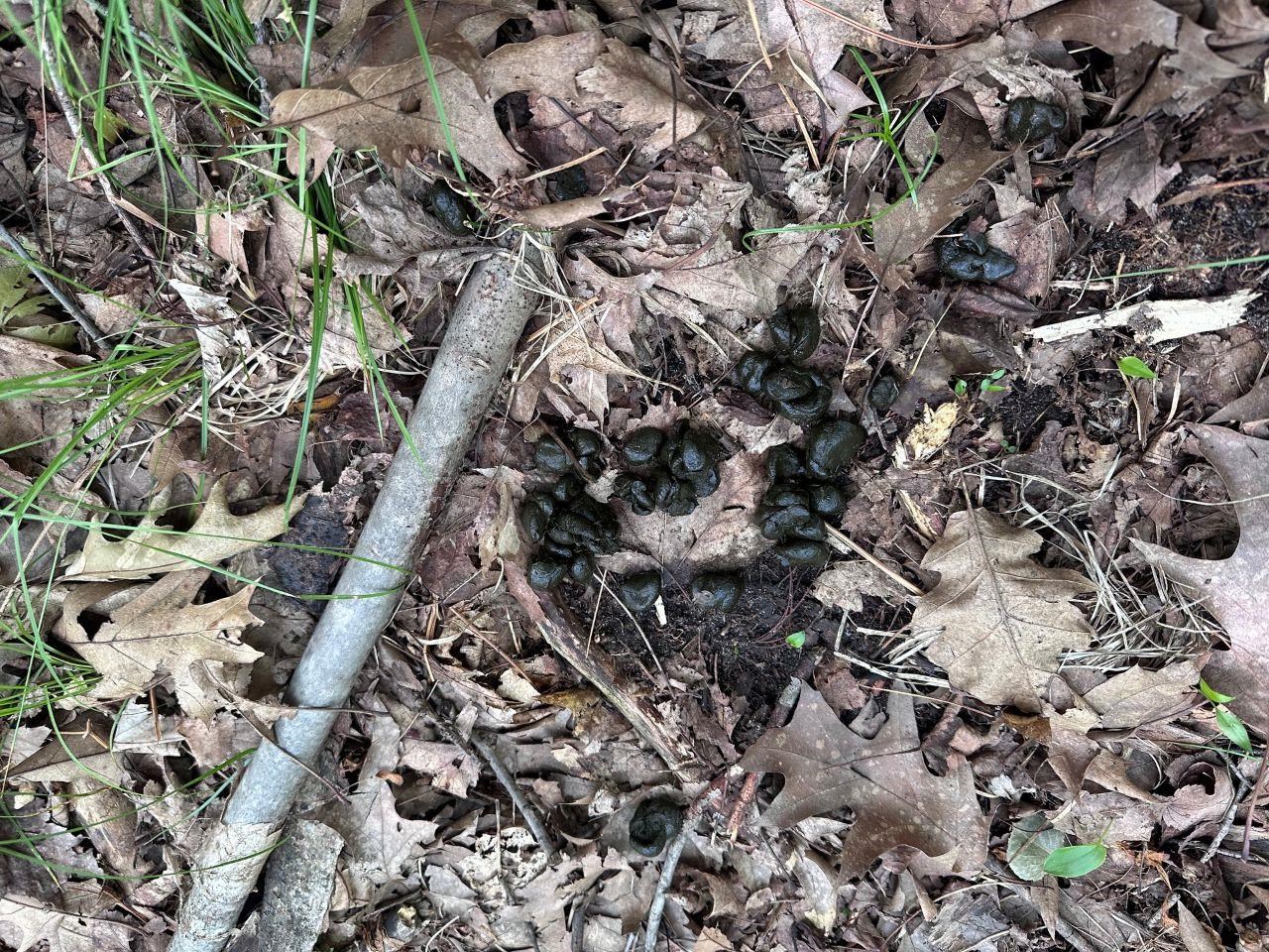 Heise Road Suring, WI 54174 - Photo 2 of 18