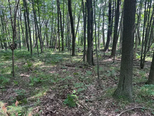 $259,900 | Heise Road, Suring, WI 54174