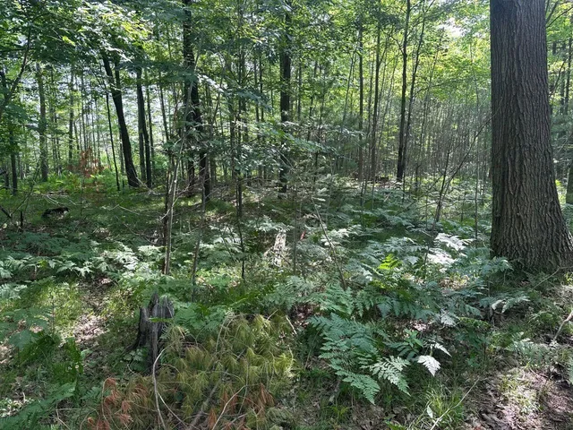 $259,900 | Heise Road, Suring, WI 54174