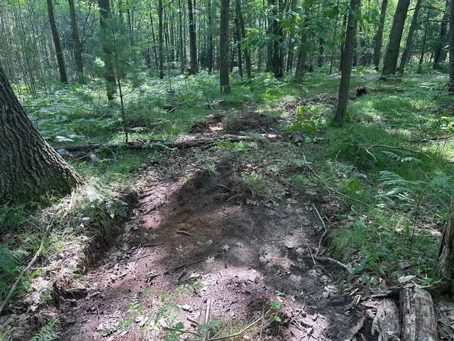 $259,900 | Heise Road, Suring, WI 54174