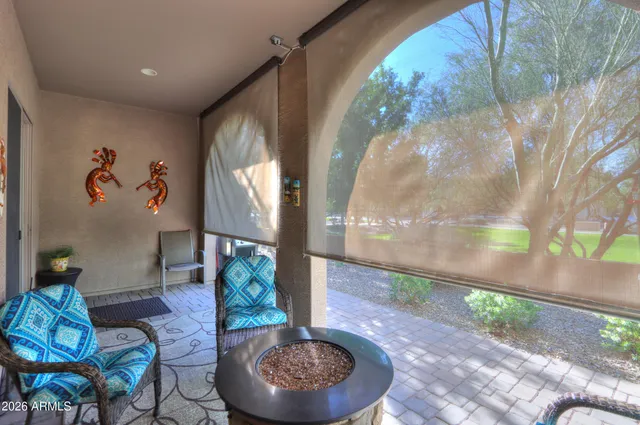 a view of a yard with plants and large trees