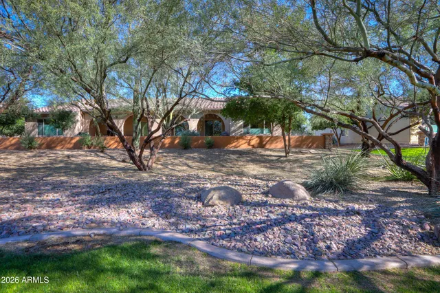 a view of a yard with a tree