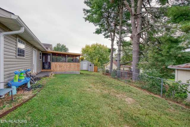 a view of a backyard with plants and a tree